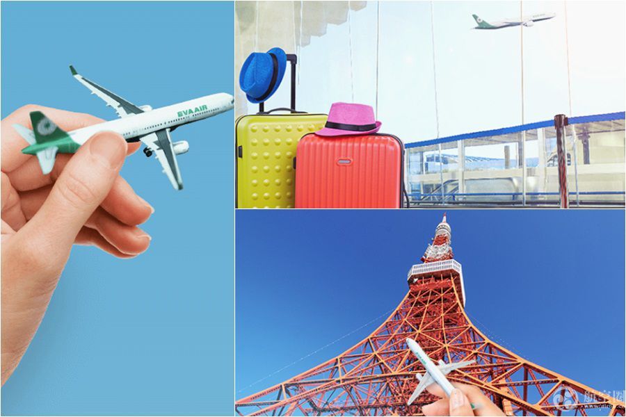 乘客抽中不限乘坐次数机票辞职一年飞日本50趟