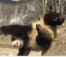 鄙视链入手！今天你对我爱答不理，现在我就能鄙视你！