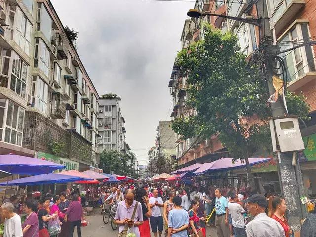 当你觉得活不下去的时候，就去菜市场吧