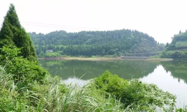 成安渝高速目前通行正常吗,成安渝高速通车倒计时