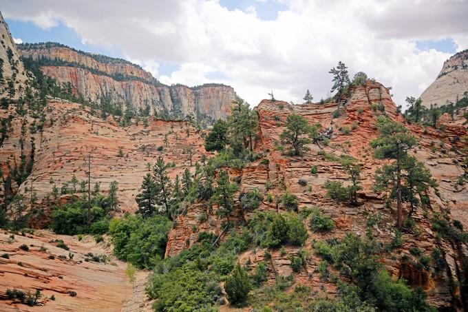 美国东海岸14日旅游攻略,美国西海岸旅游15天攻略