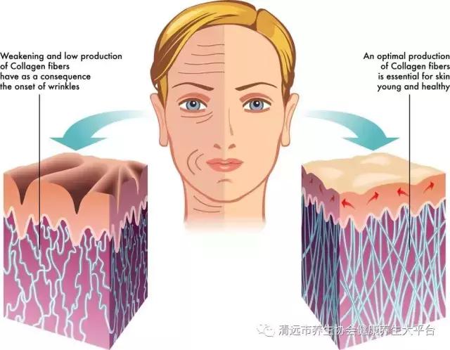 皮肤病一招根治,皮肤病顽固有哪些药治疗