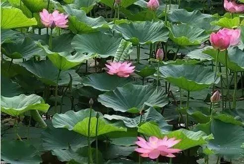 九台周边三日游去哪儿好,黄金周出游怎么玩