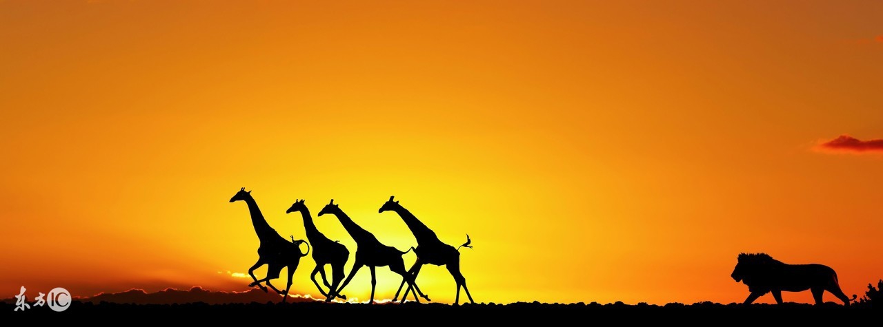 小白跑步指南,小白马坪攻略