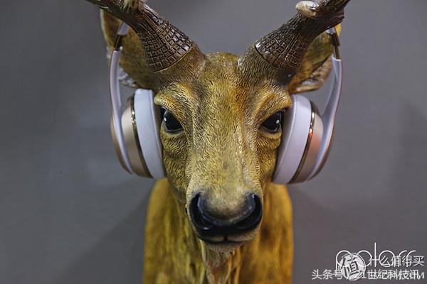 beats耳机头戴式solo3红测评,beatssolo3耳机头戴式测评