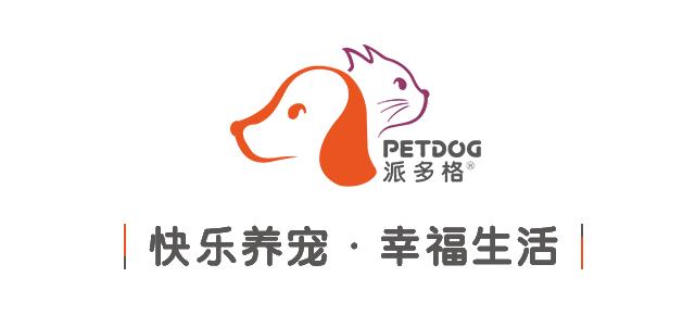 狗眼睛周围红肿发炎,狗眼睛发炎红肿用什么药