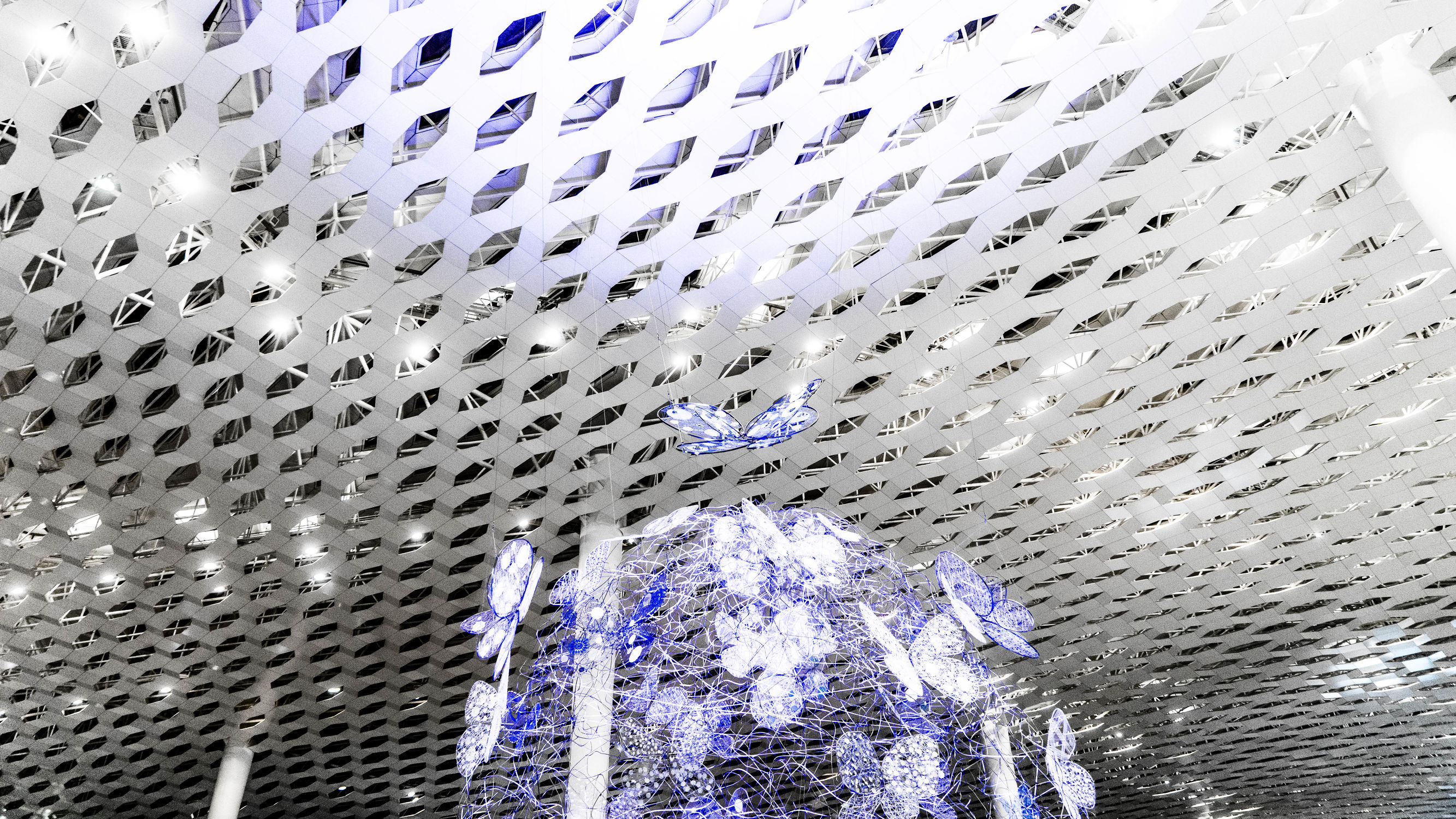 深圳宝安机场有密集恐惧症的人吗,深圳的机场密集恐惧症