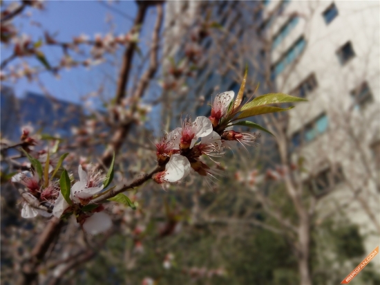 360f4手机高配版,360手机f4值不值得买