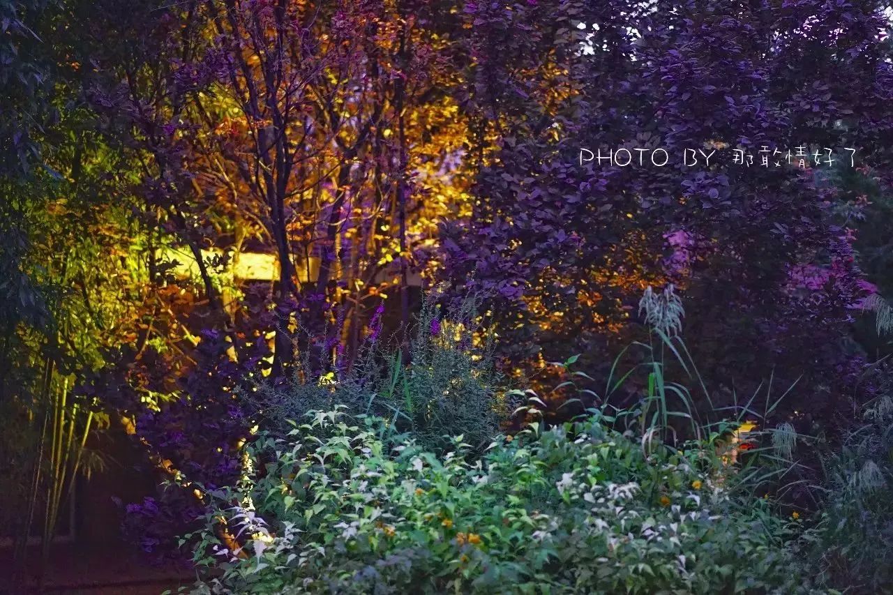 北京汤泉度假酒店排名,京城度假酒店