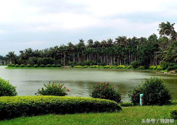 海南三亚导游词,海南三亚导游词100字