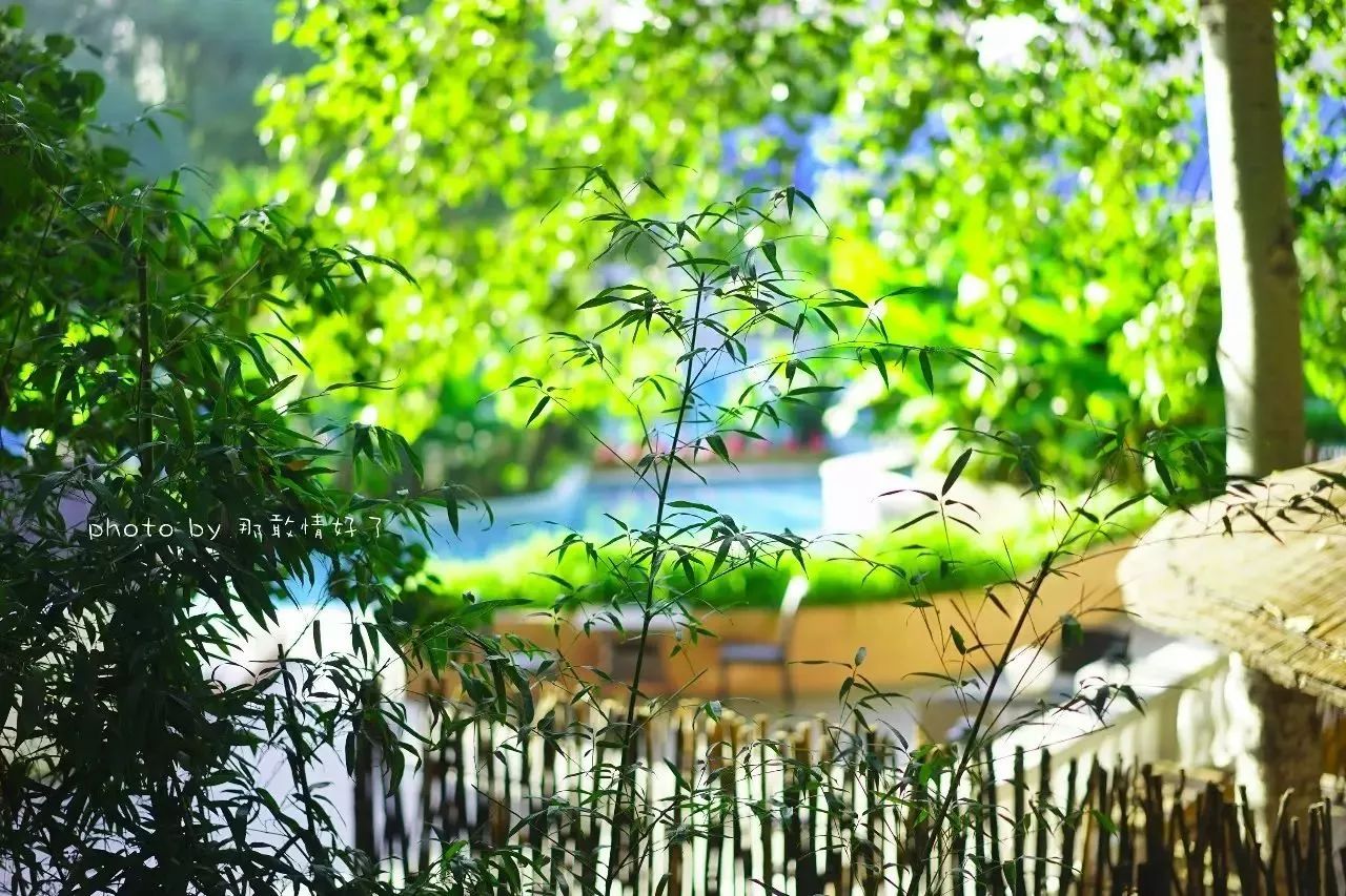 北京汤泉度假酒店排名,京城度假酒店