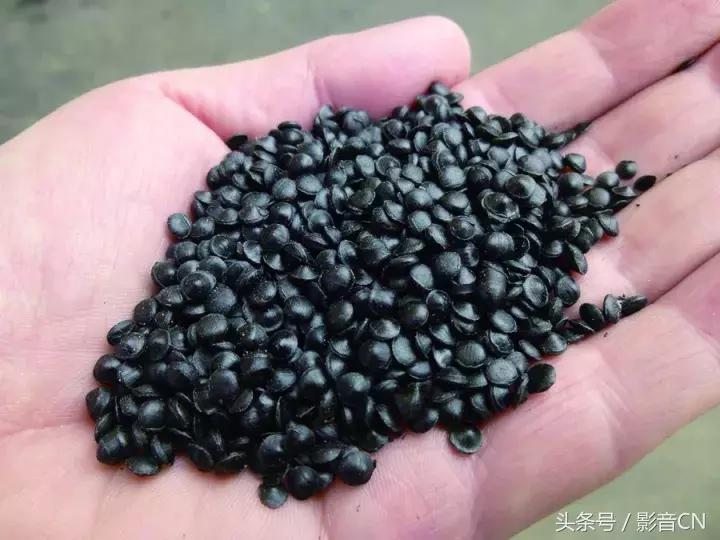 烧脑脑洞大作战所有答案,烧脑的小发明视频