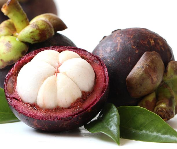 山竹有哪些问题,关于山竹的那些事