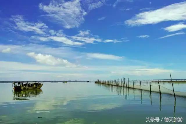 防城港的这片红树林，国庆要搞事情了，等你来撩~