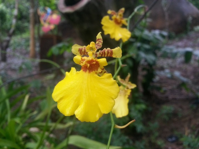 面朝大海春暖花开旅游,面朝大海春暖花开4