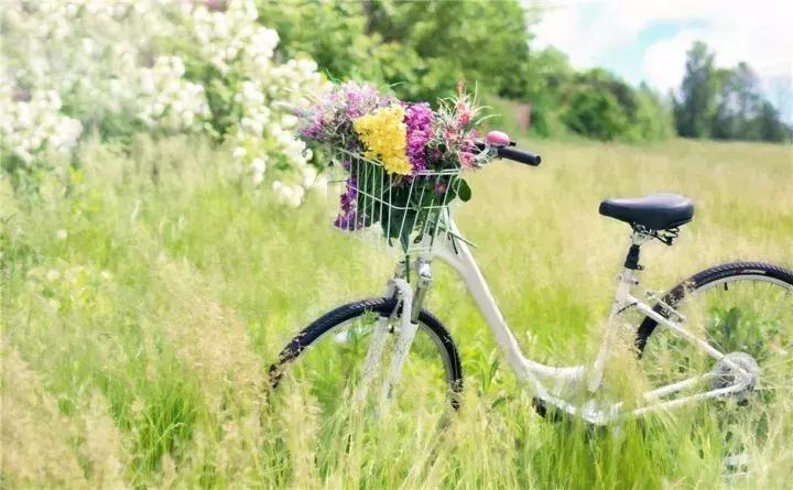 心灵鸡汤英文经典语录短句,英文毒鸡汤经典短句