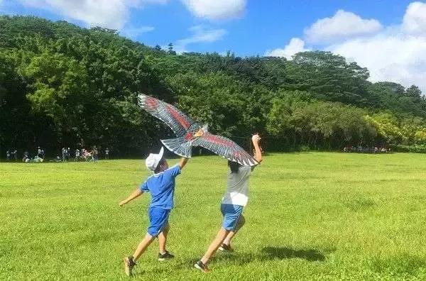 小孩每天四点半下课,孩子每天四点多放学