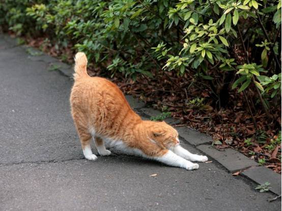 iphonexfaceid怎么用,iphonexfaceid更换