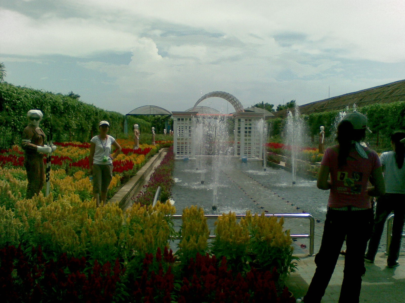 广州南沙百万葵园好不好玩,广州南沙百万葵园门票多少钱