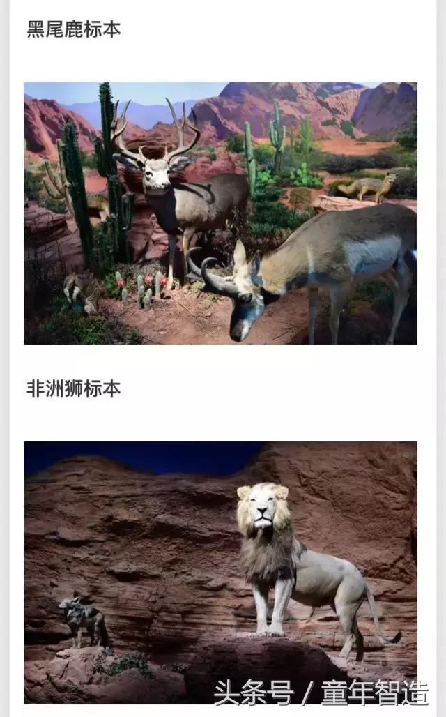 值得带孩子去看的画展,全球最值得看的20个展览