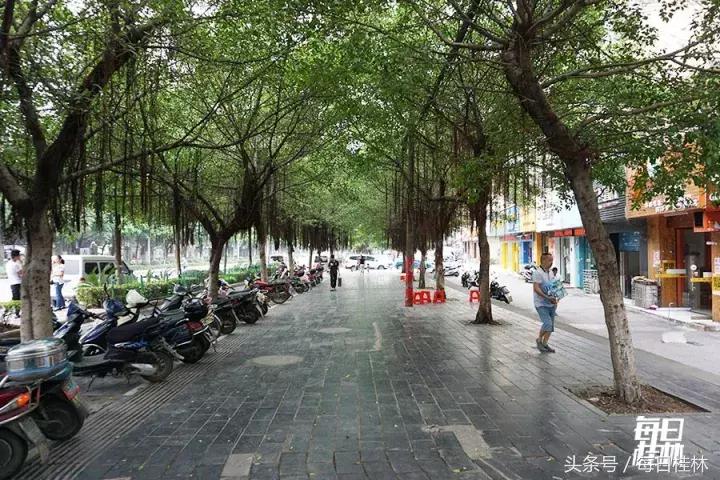 久违了,我的桂林电子科技大学!