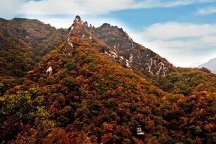 北京不容错过的赏花路线,北京香山红叶林观看最佳时间