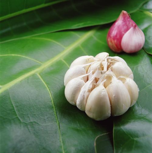 感冒鼻塞咳嗽止咳最快的一招秘方,咳嗽痰多气逆鼻塞中药