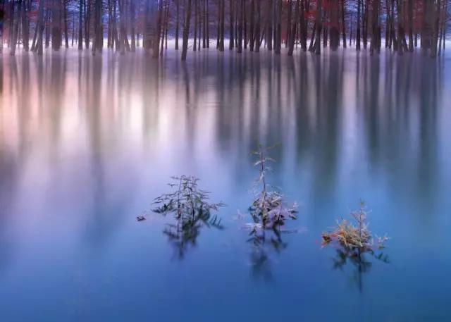仙居美食餐厅推荐日料,仙居美食推荐