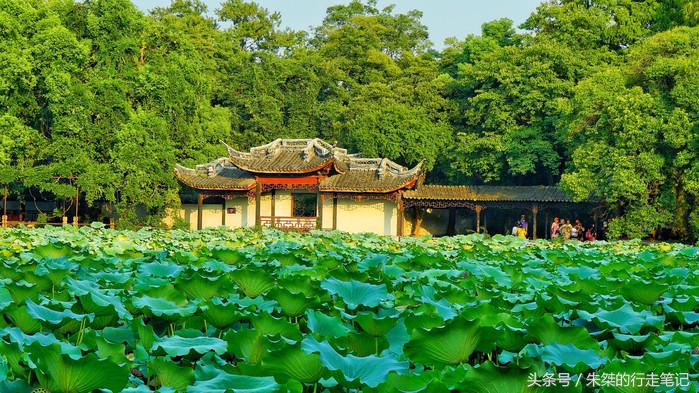 夜游南浔古镇感受江南水乡的美,江南六大古镇最值得一去的是南浔