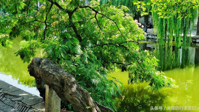 夜游南浔古镇感受江南水乡的美,江南六大古镇最值得一去的是南浔