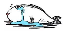 国庆褥羊毛攻略：银联钱包vs支付宝