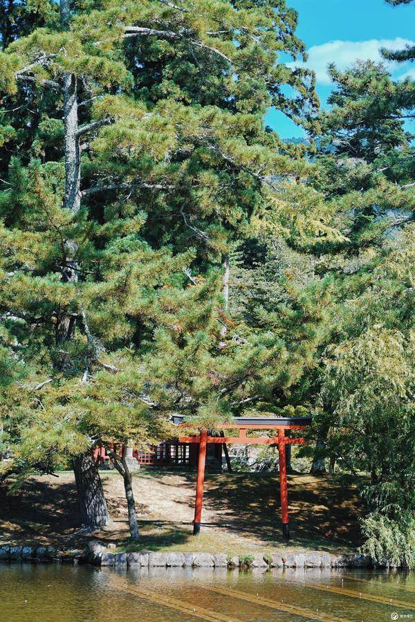 日本旅游景点最佳地点,日本广岛旅游景点大全