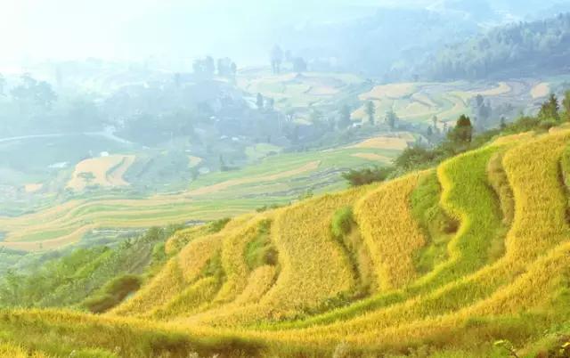 仙居美食餐厅推荐日料,仙居美食推荐