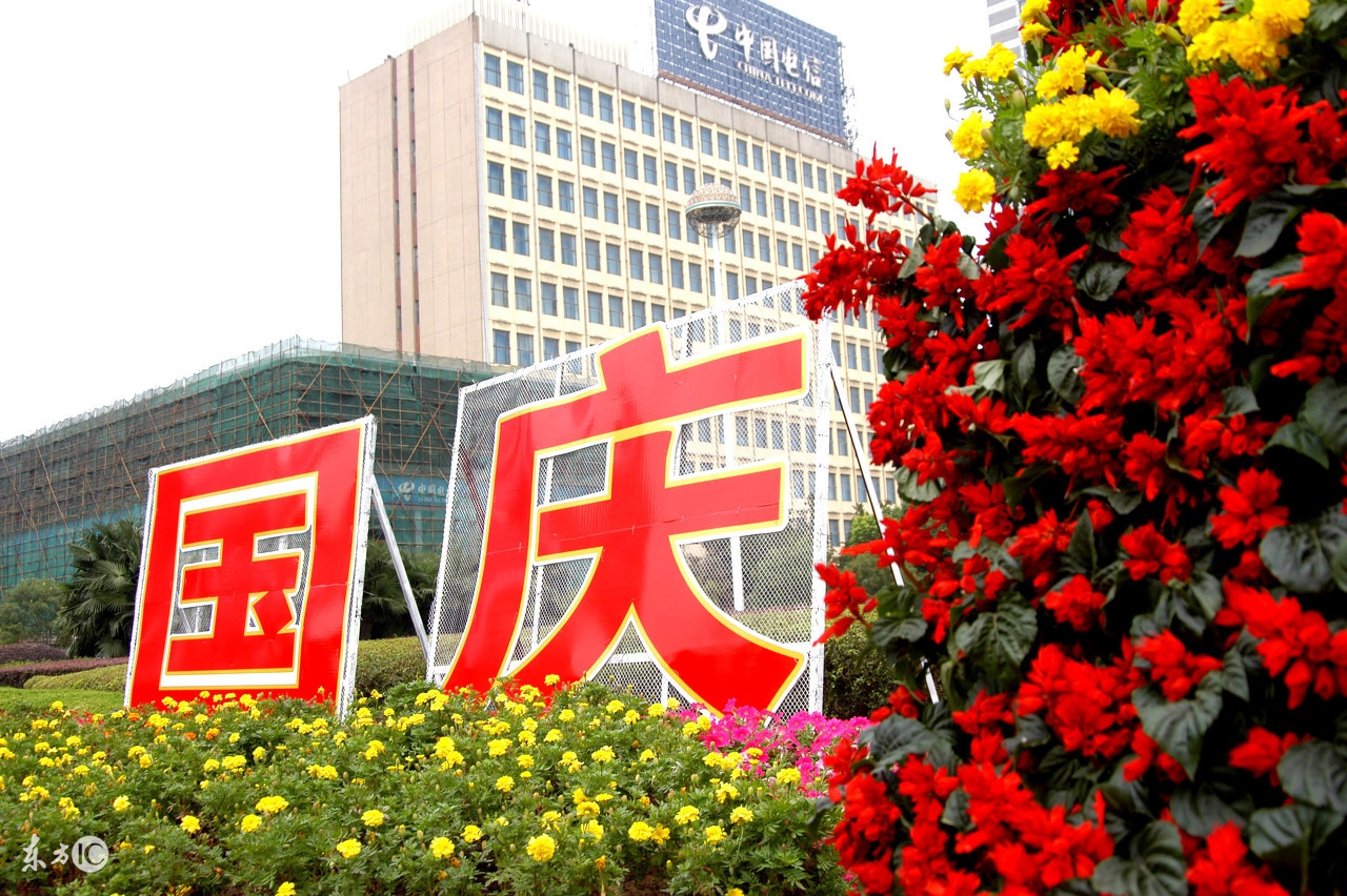 有些人为什么慎用鸡内金,怎么判断是不是真的鸡内金