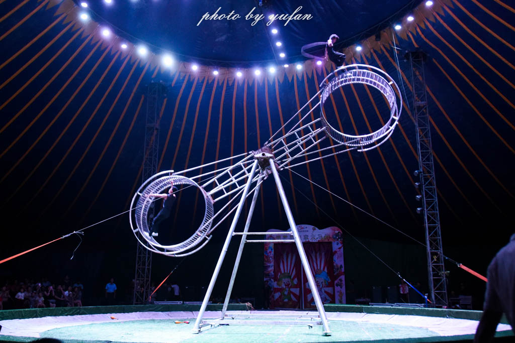 皇家大马戏巴伐利亚,广东哪里有大马戏