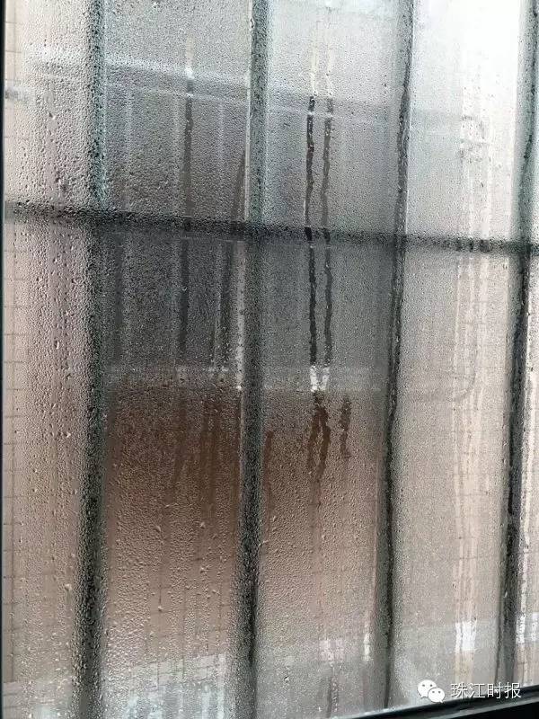 如何有效避开回南天,回南天应对小妙招图片