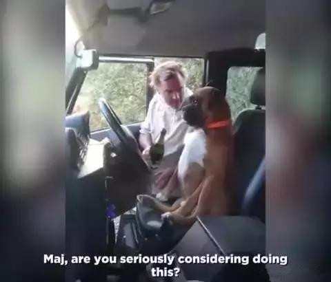 老爸酒喝多了，非要拉着狗狗唠嗑，狗：我能怎么办，我也很绝望！