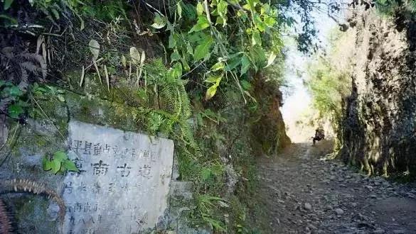 堵在路上别着急,堵在高速上不要慌