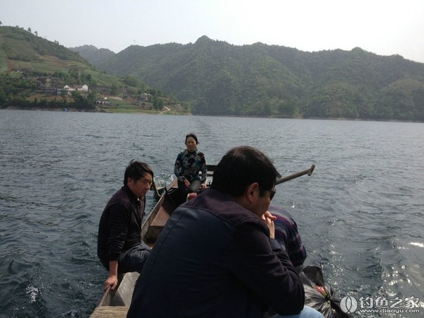 探钓野生鱼视频,探钓野生水库