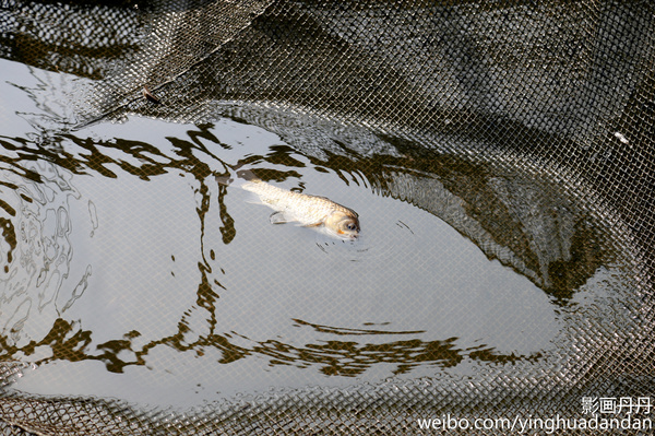 牵着小手去旅行,牵着小手去旅游