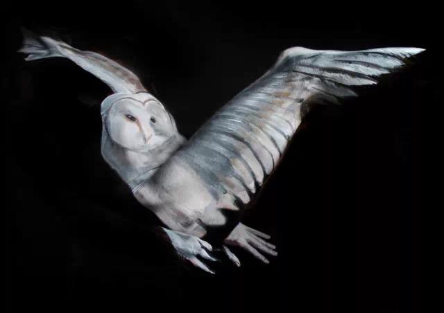 这是动物?不,这是人—人体彩绘告诉你眼见不为实