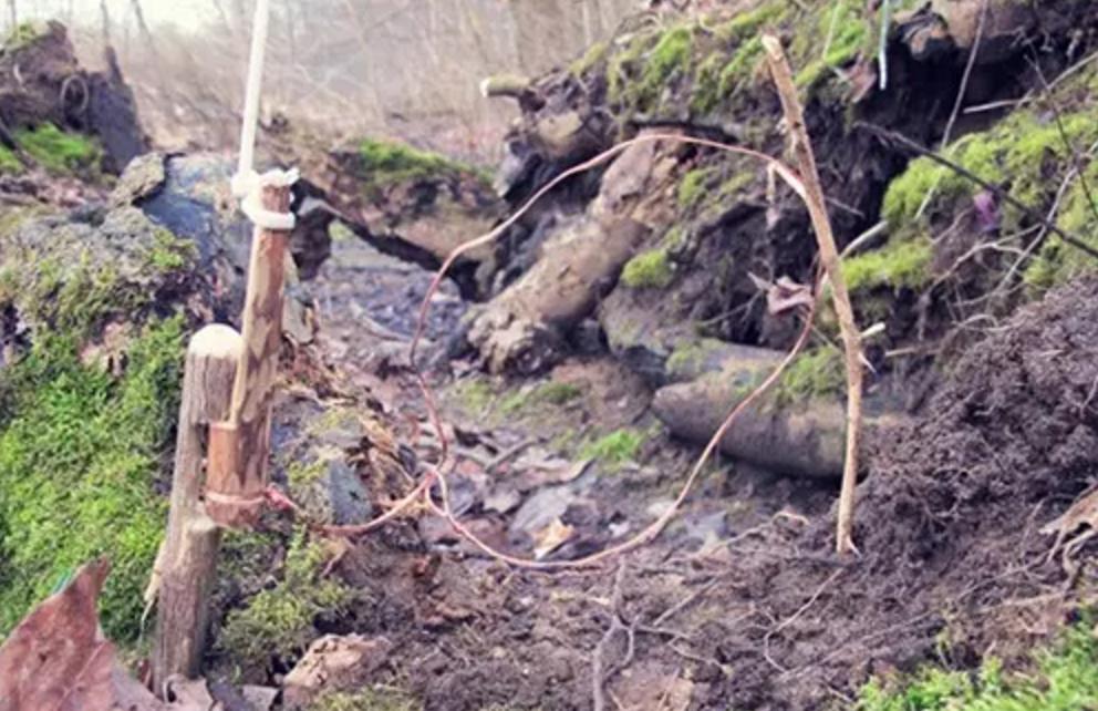 野外生存diy教你制作捕捉陷阱,野外求生陷阱简单大全