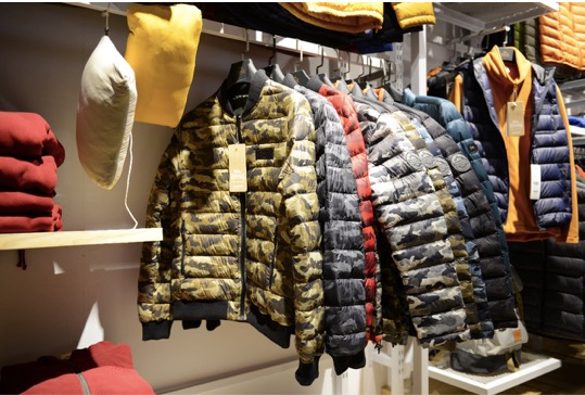 龙狮戴尔标志,龙狮戴尔属于几线品牌