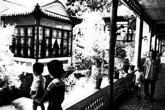 广州的老字号美食,广州老字号南园酒家正宗的广州味