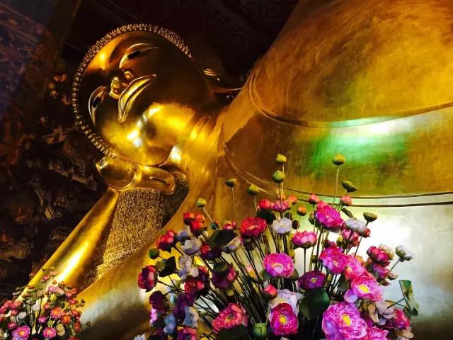 揭秘：真实的泰国人妖，昙花一现的美丽