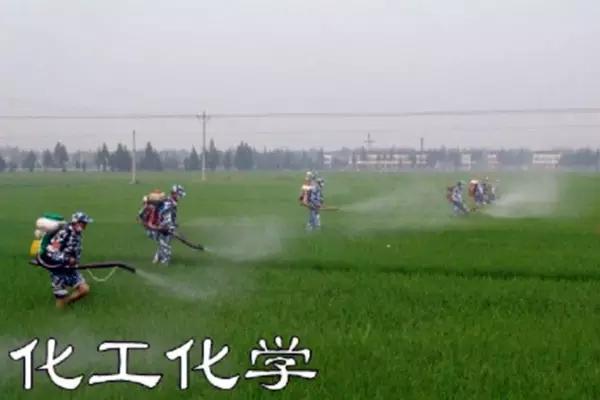 关于你的大学专业,亲戚都产生过哪些奇葩的联想?