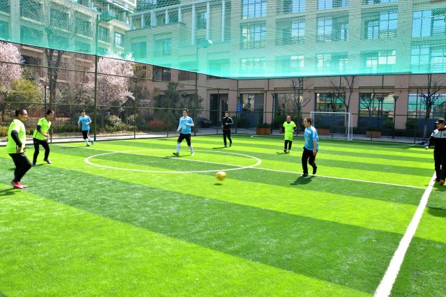 陕西有哪些免费足球场,商洛足球场推荐