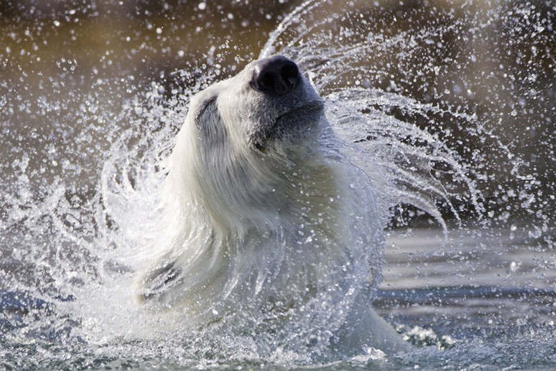 同型半胱氨酸是独立健康指标,同型半胱氨酸孕妇指标5.9正常吗