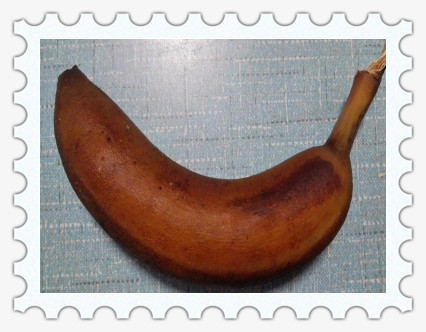 生病水果能吃吗,带伤能吃鱼吗