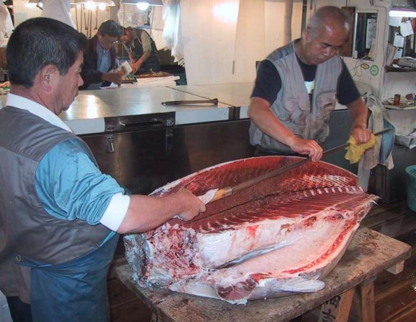 女士吃泻药腹泻不止,女生吃泻药突发腹泻